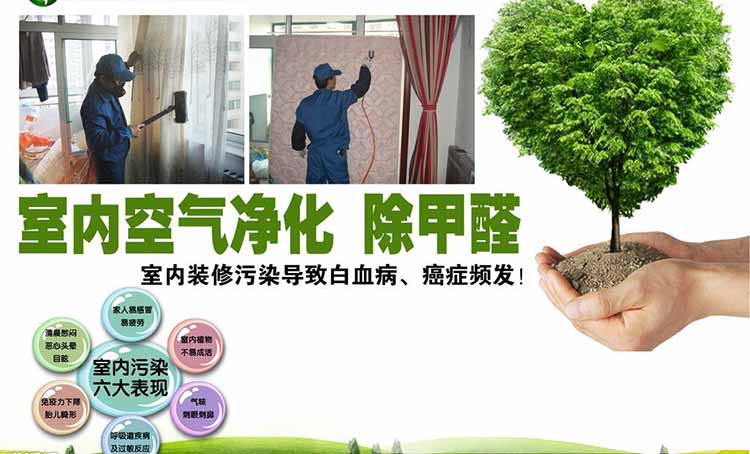 怎样可以净化空气(图1)