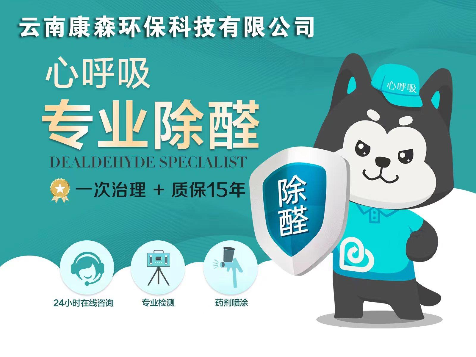 八种空气净化办法想要新鲜健康的空气就这么做!(图1)