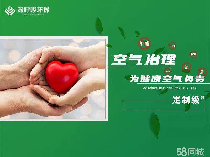 如何净化室内空气pdf(图1)